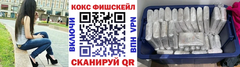 COCAIN FishScale  где можно купить наркотик  Чухлома 
