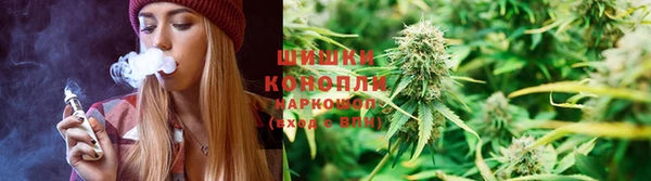 ПСИЛОЦИБИНОВЫЕ ГРИБЫ Балабаново