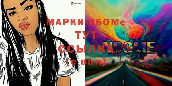 индика Белокуриха