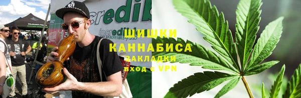 ПСИЛОЦИБИНОВЫЕ ГРИБЫ Балабаново