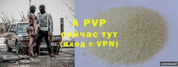 индика Белокуриха