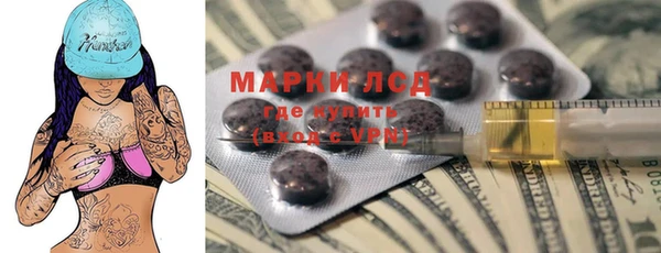 прущие грибы Покачи